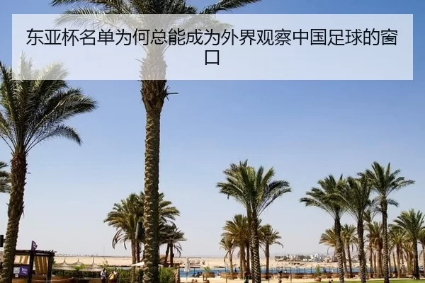 东亚杯名单为何总能成为外界观察中国足球的窗口
